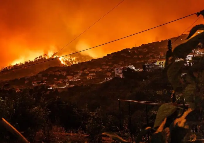 Imagen de archivo de un incendio forestal cerca de viviendas. Foto de Michael Held en Unsplash