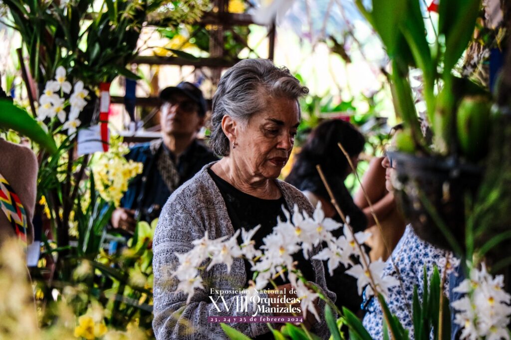 Cierra con total éxito la XVIII Exposición Nacional de Orquídeas de Manizales