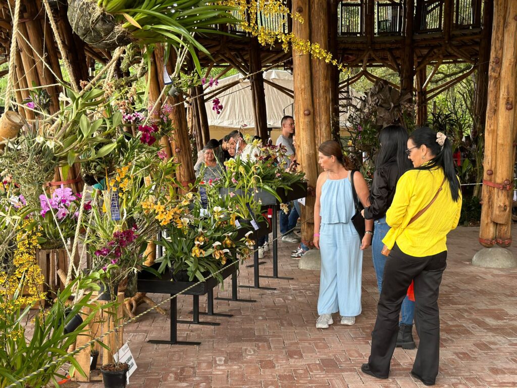 Gran apertura de la XVIII Exposición Nacional de Orquídeas de Manizales