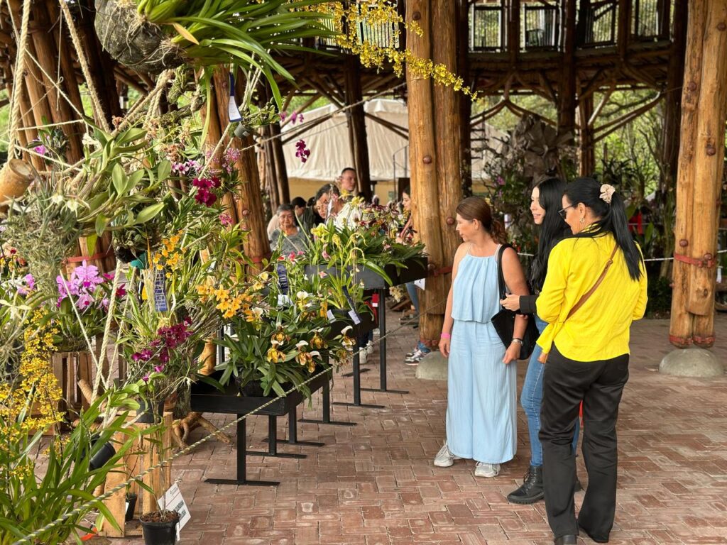 La XVIII Exposición Nacional de Orquídeas de Manizales deja un balance positivo