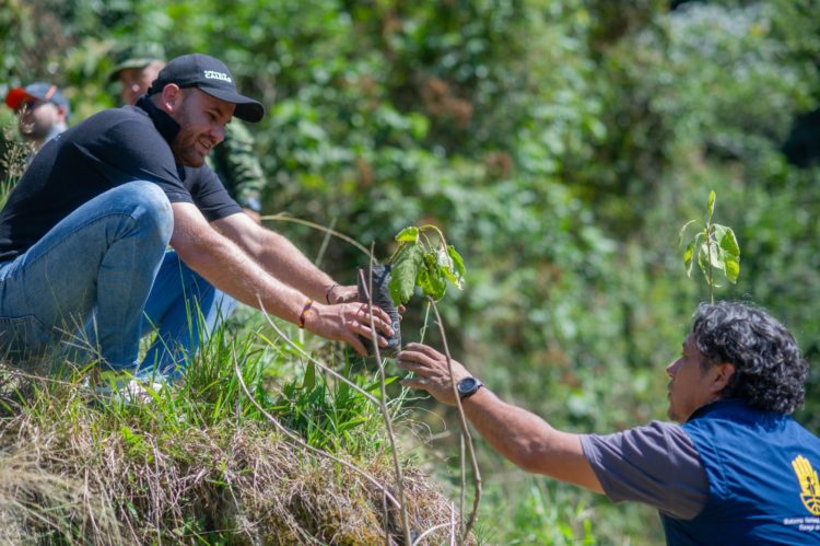 Línea Social de Caldas desarrolló jornada de reforestación de cuenca hidrográfica en Aranzazu