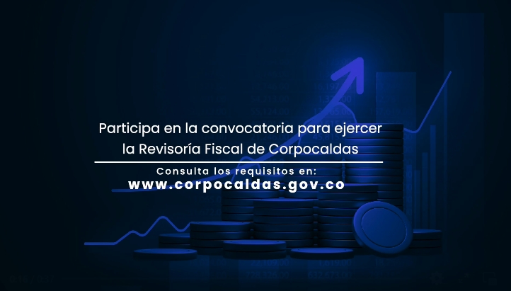 Participa en la convocatoria para ejercer la Revisoría Fiscal de Corpocaldas.