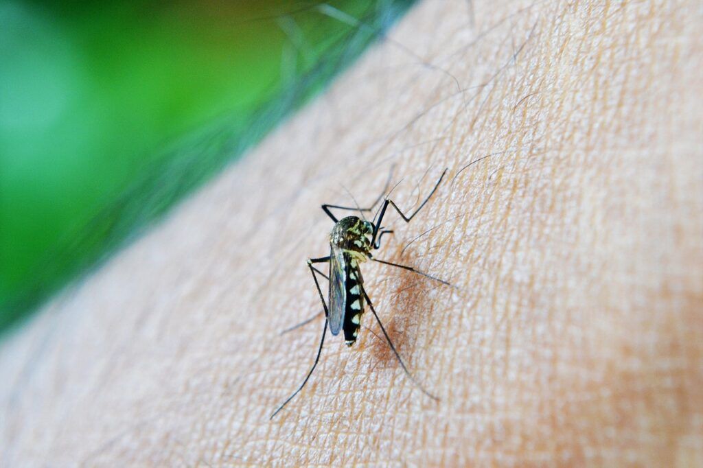 Secretaría de Salud de Manizales formula recomendaciones frente a presencia de 3 casos positivos de dengue en el Kilómetro 41