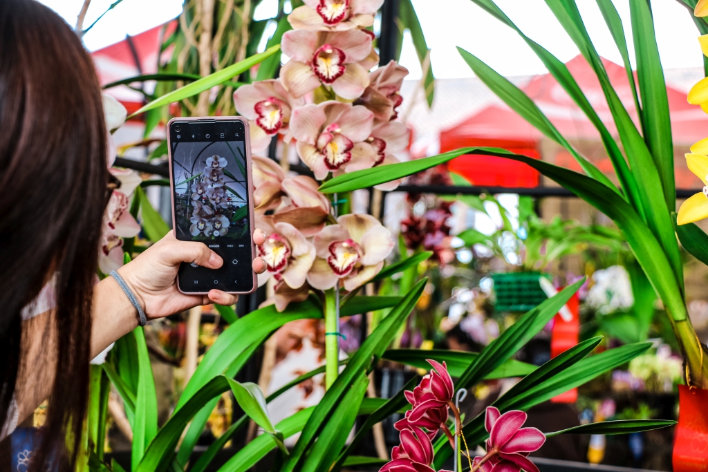 9 asociaciones hacen parte de la 18° Exposición Nacional de Orquídeas de Manizales