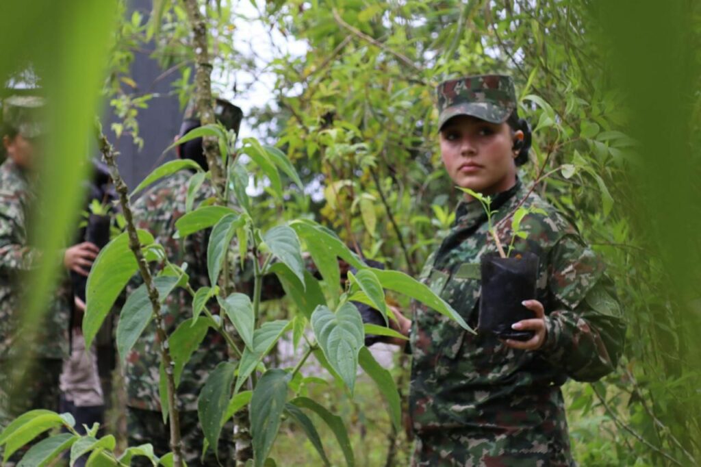 Ejército Nacional, en su compromiso medioambiental, apoya a las mujeres cafeteras del departamento de Caldas
