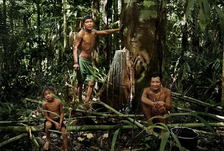 Daniel Everett visitó a la tribu pirahã de Brasil