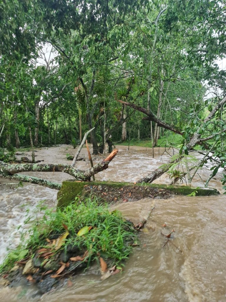 Una persona fallecida, un herido y 14 viviendas averiadas, reporte preliminar tras fuertes lluvias en Viterbo 