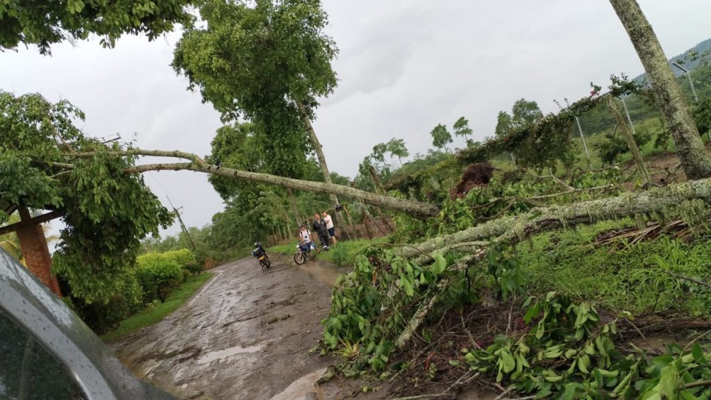 Una persona fallecida, un herido y 14 viviendas averiadas, reporte preliminar tras fuertes lluvias en Viterbo 