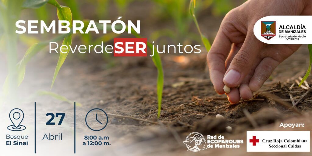 Únete a la sembratón “ReverdeSER juntos” en conmemoración del Día Nacional del Árbol