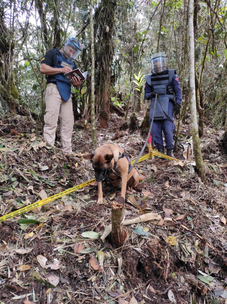 Marulanda, libre de minas antipersonal: Ya son 13 los municipios de Caldas declarados sin presencia de estos artefactos