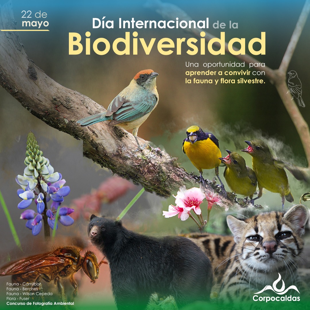 Sabes cuántas áreas protegidas tenemos en Caldas 22 de mayo dia internacional de la biodiversidad