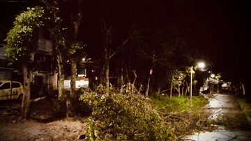 Un fuerte vendaval afectó a Riosucio, causando la caída de árboles, daños en techos y el taponamiento de una vía.
