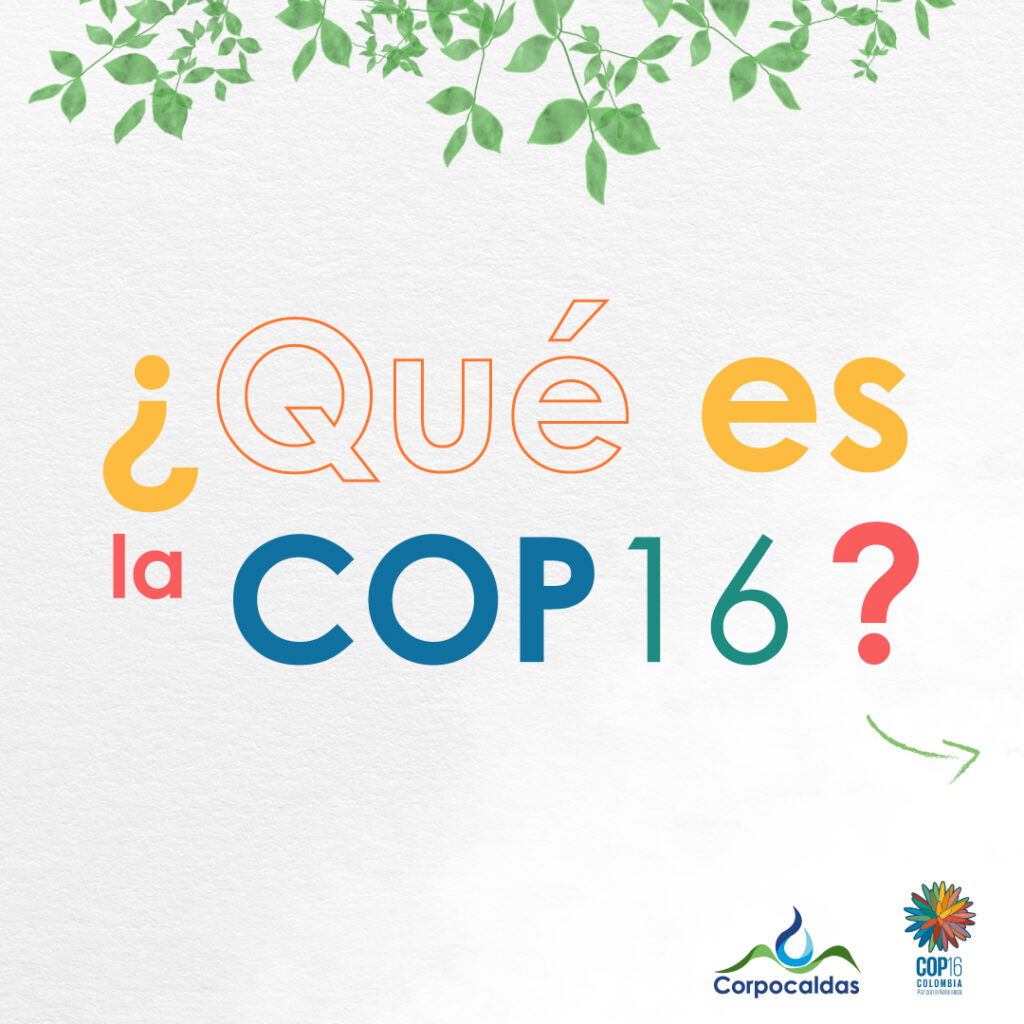 COP 16