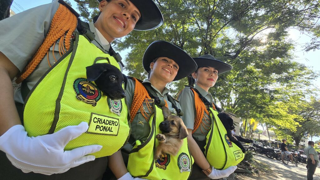 Con orgullo colombiano y compromiso ante los caldenses, la Policía Nacional en Caldas engalanó el desfile del 20 de julio en los diferentes municipios