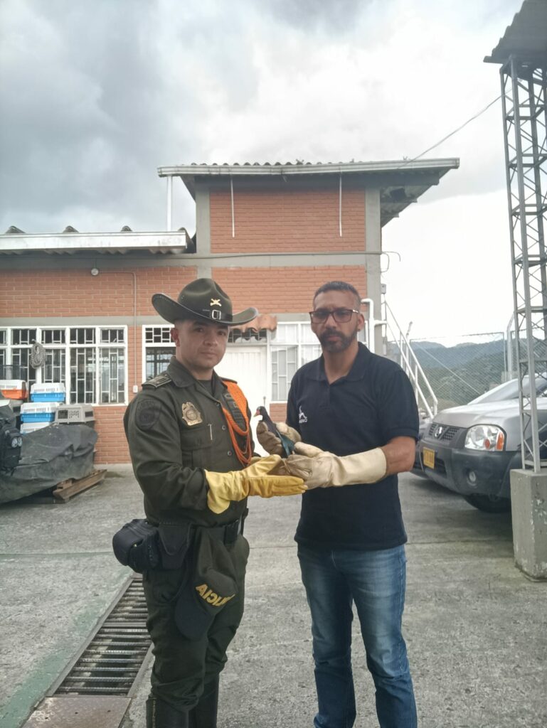 La Policía rescató un ave de agua dulce en zona rural de Neira