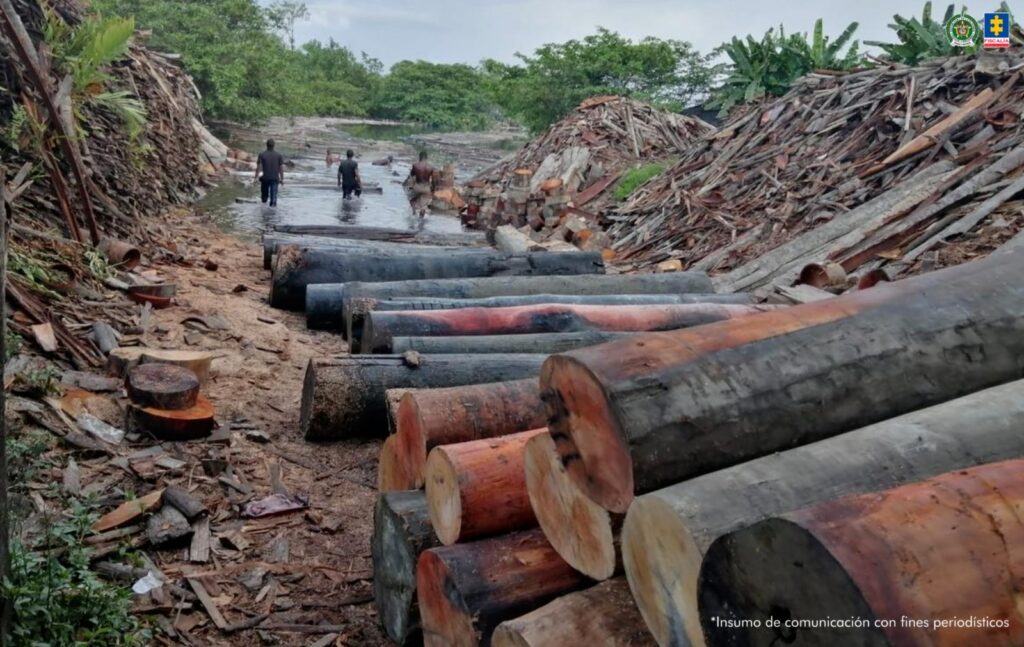 Fiscalía judicializa red criminal acusada de devastar bosques y traficar madera en el Pacífico colombiano