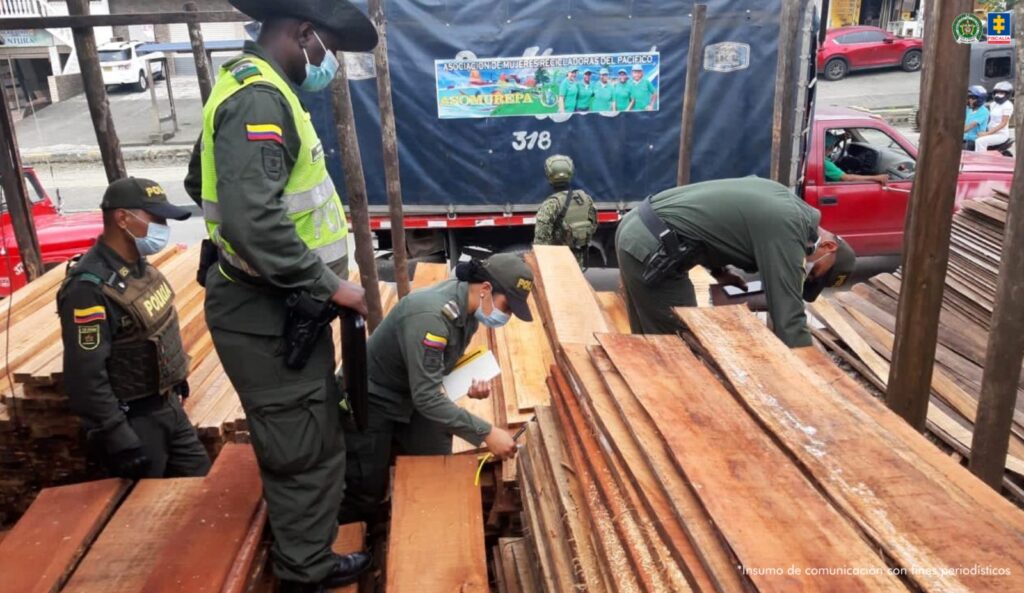 Fiscalía judicializa red criminal acusada de devastar bosques y traficar madera en el Pacífico colombiano