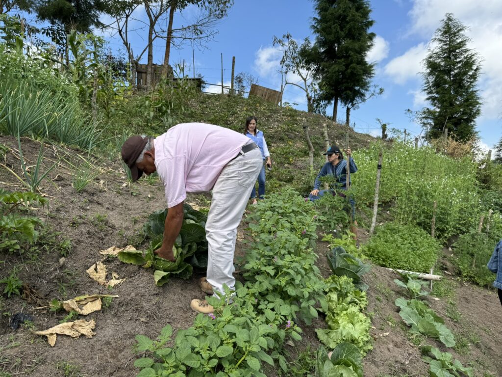 Gobierno de Caldas impulsa proyectos productivos inclusivos para mujeres, jóvenes y comunidades NARP