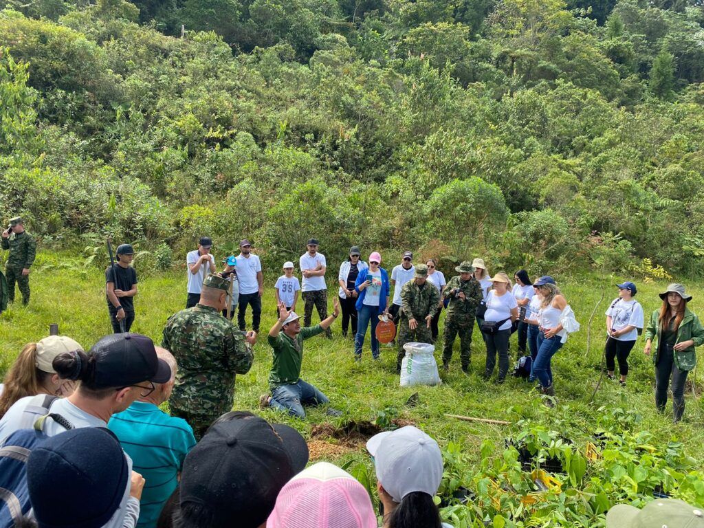 La siembre de árboles en Manizales revitaliza las áreas verdes de la ciudad