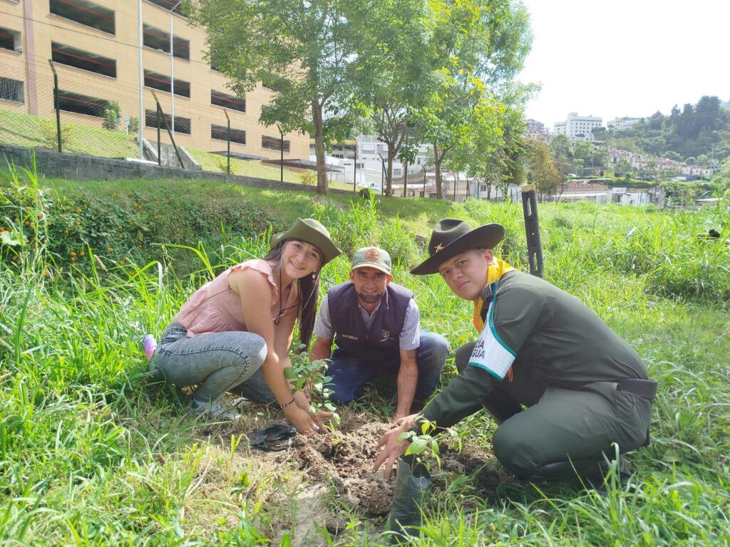 La siembre de árboles en Manizales revitaliza las áreas verdes de la ciudad