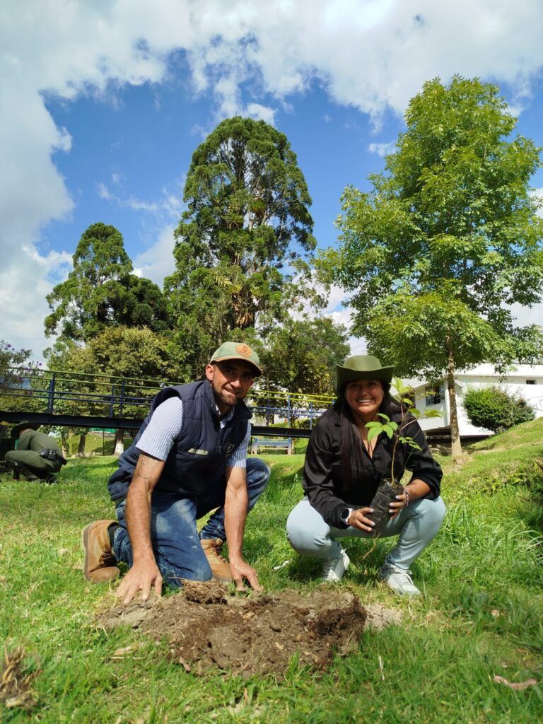 La siembre de árboles en Manizales revitaliza las áreas verdes de la ciudad