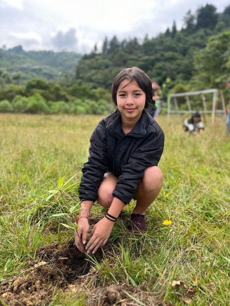 La siembre de árboles en Manizales revitaliza las áreas verdes de la ciudad