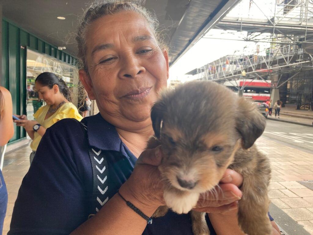 Las 10 mascotas que fueron entregadas en el centro comercial Parque Caldas, estaban bajo el cuidado de la Unidad de Protección Animal (UPA) de Manizales.
En 14 jornadas de adopción han sido entregados más de 80 animalitos.