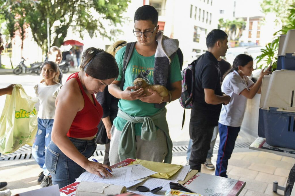 Las 10 mascotas que fueron entregadas en el centro comercial Parque Caldas, estaban bajo el cuidado de la Unidad de Protección Animal (UPA) de Manizales.
En 14 jornadas de adopción han sido entregados más de 80 animalitos.