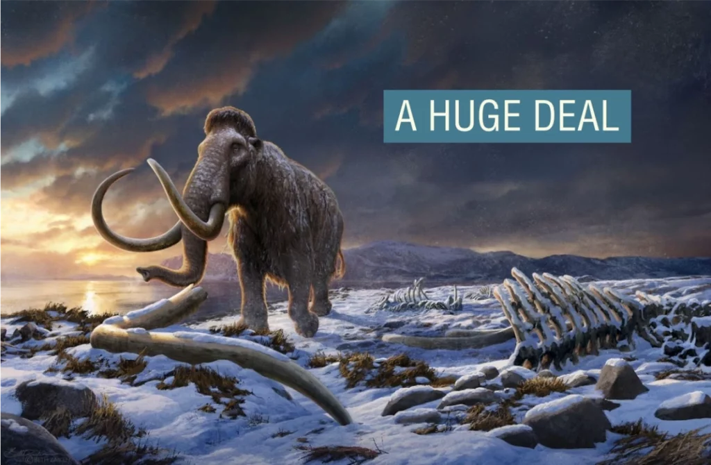 Los secretos del mamut lanudo liofilizado