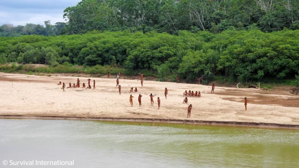 Madereros cerca de una tribu no contactada