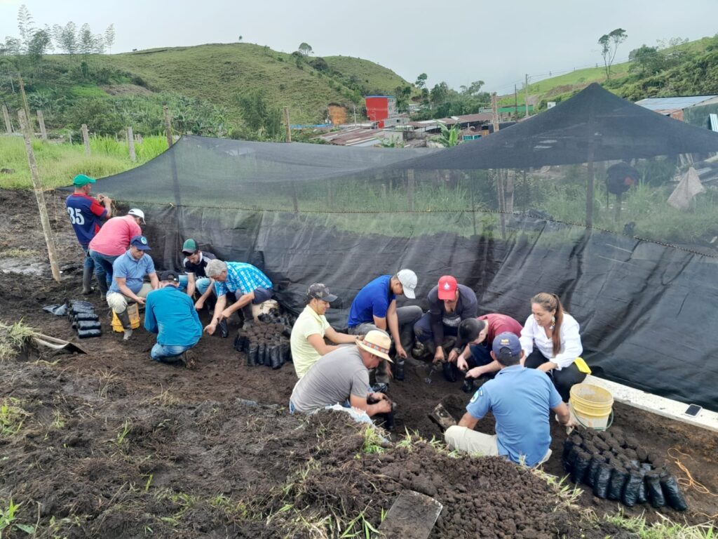 Secretaría de Medio Ambiente de Caldas instaló un nuevo vivero comunitario en Samaná: apoyará la reforestación del municipio