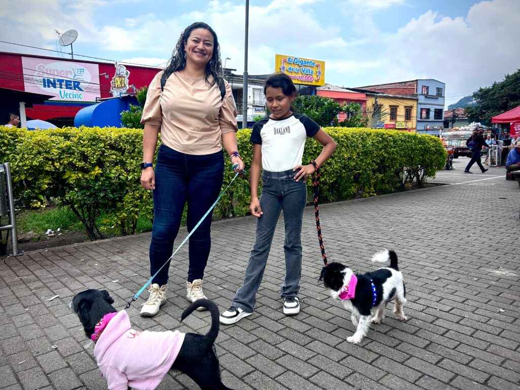 Secretaría de Medio Ambiente de Caldas promueve la certificación de paseadores caninos 