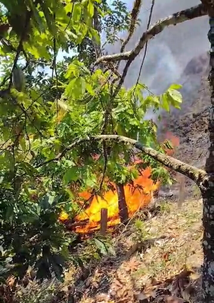 Seis municipios de Caldas reportan incendios de cobertura vegetal por altas temperaturas