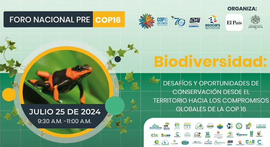 En vivo: ‘Biodiversidad, desafíos y oportunidades de conservación desde el territorio hacia los compromisos globales de la COP16’