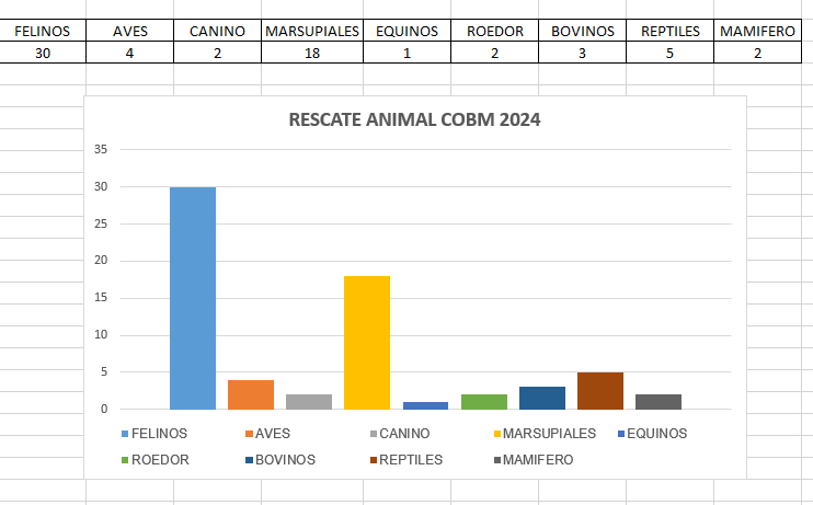 67 animales han sido rescatados por el Cuerpo Oficial de Bomberos de Manizales en el 2024