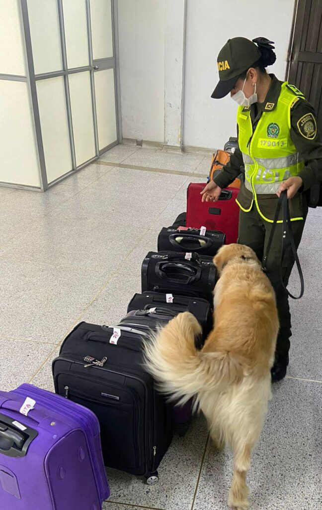 BALANCE DEL FIN DE SEMANA EN MANIZALES Y VILLAMARIA 788 llamadas fueron recibidas a través de la línea de emergencia 123