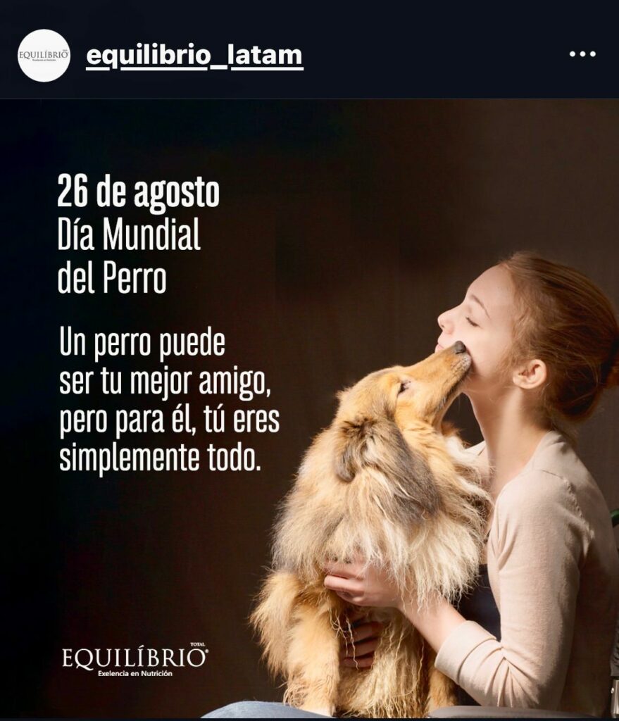 Celebramos el Día Internacional del Perro: Un Homenaje a Nuestros Fieles Compañeros