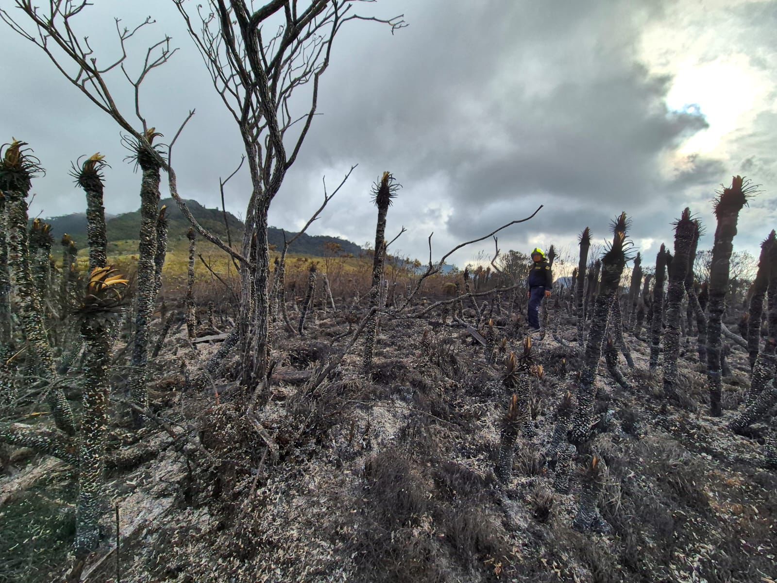 Cuerpo Oficial de Bomberos de Manizales controló Incendio de cobertura vegetal en el Páramo de Letras