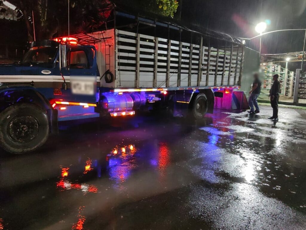 Policía de Caldas Refuerza Controles contra el Abigeato: Detenida Persona por Falsificación de Documentos