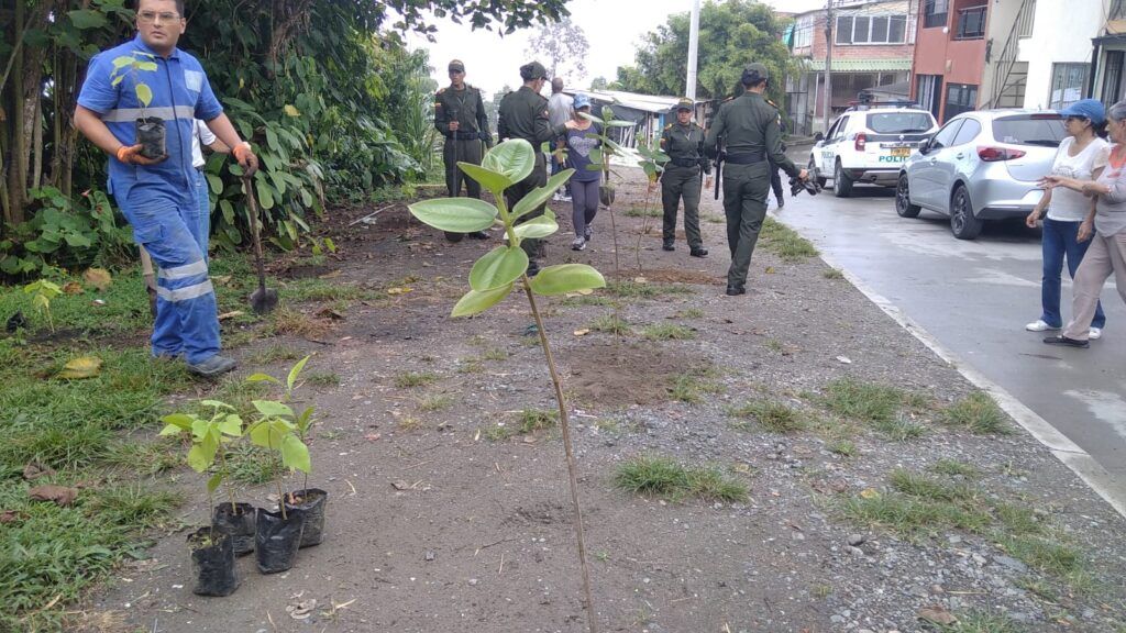 La siembra de 50 nuevos árboles en la zona semirrural de Manizales impulsa el progreso ambiental