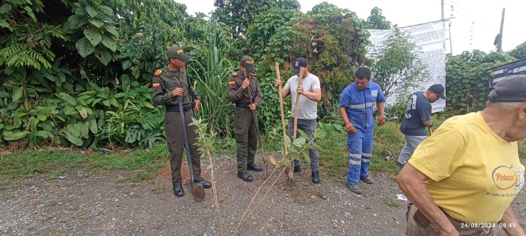 La siembra de 50 nuevos árboles en la zona semirrural de Manizales impulsa el progreso ambiental