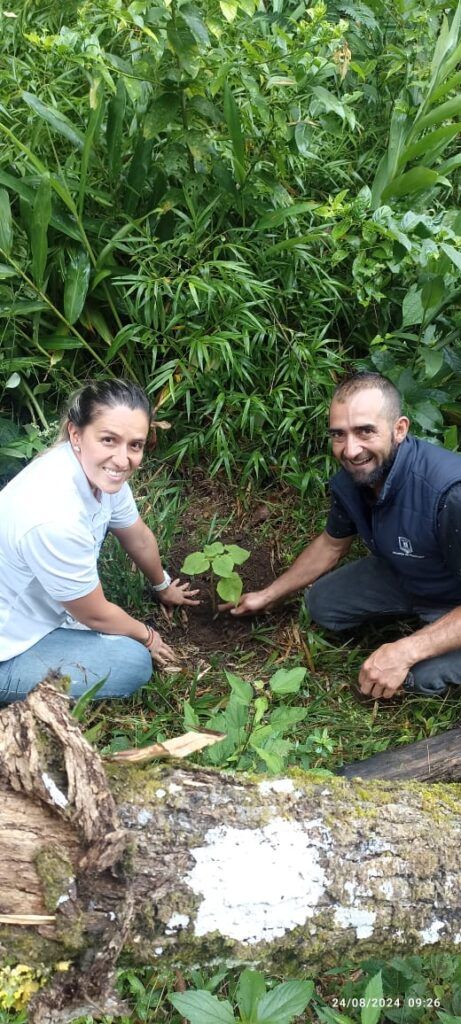 La siembra de 50 nuevos árboles en la zona semirrural de Manizales impulsa el progreso ambiental