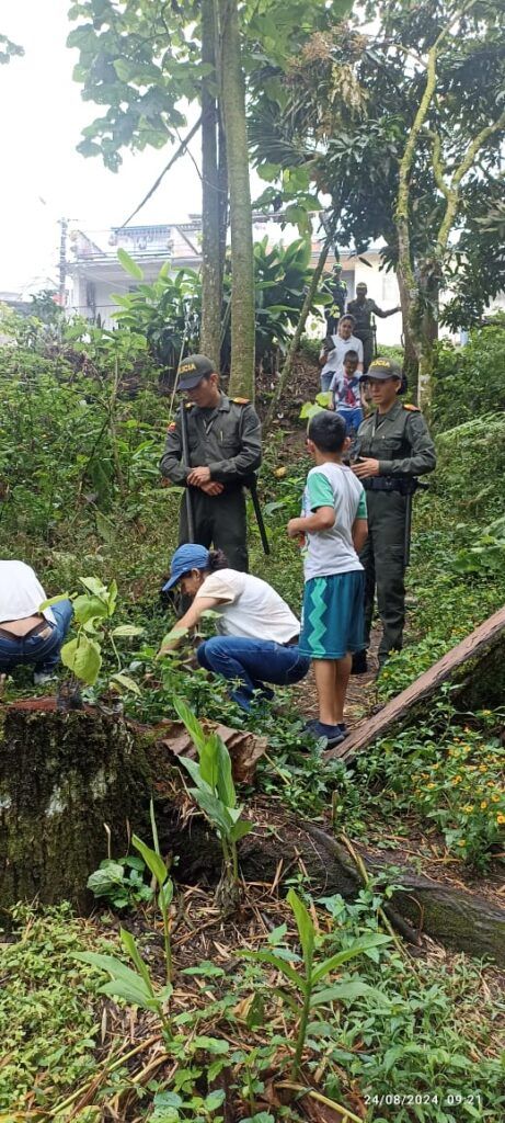 La siembra de 50 nuevos árboles en la zona semirrural de Manizales impulsa el progreso ambiental