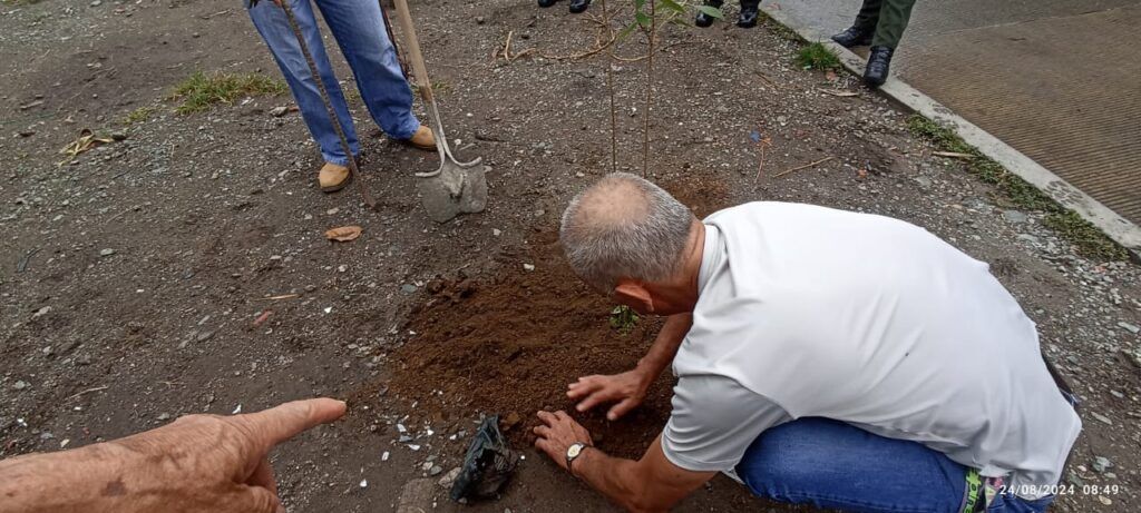 La siembra de 50 nuevos árboles en la zona semirrural de Manizales impulsa el progreso ambiental