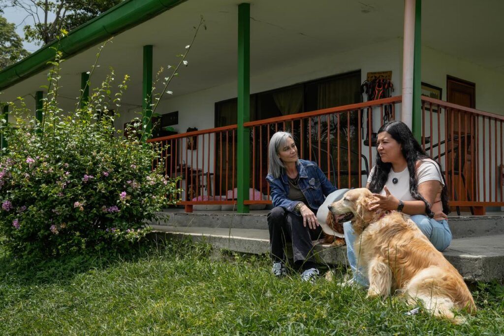 “Vuelve y Juega”: campaña de la Gestora Social de Manizales para apoyar a fundaciones de personas y animales