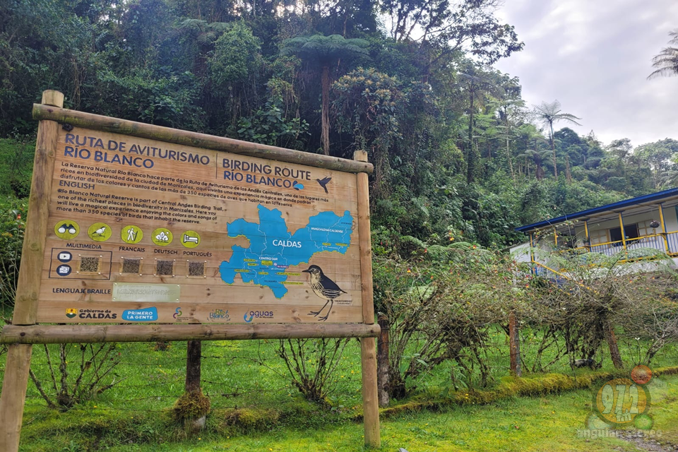 Aprovechamiento Forestal en Río Blanco: Conservación y Desarrollo en Equilibrio