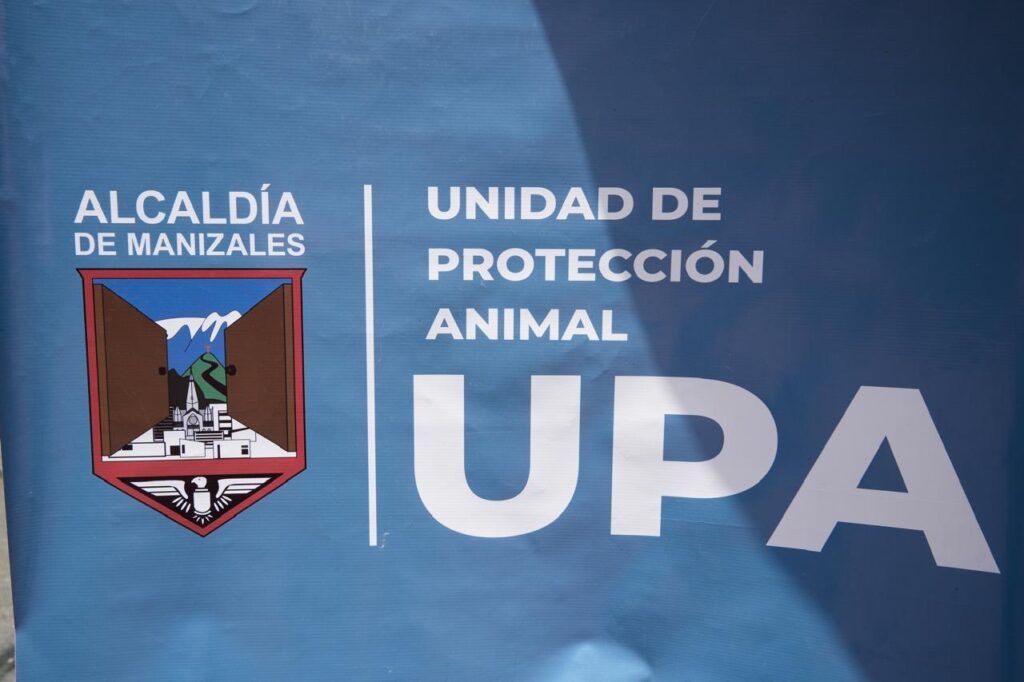 90 animalitos más fueron esterilizados en Manizales; la meta es llegar a los 2 mil perros y gatos operados en el año