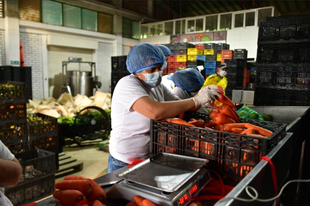 Gobierno entrega proyecto agrologístico a la ANUC para fortalecer la comercialización campesina