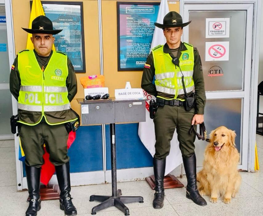 LA CANINA “SAM”, NO LE DA TREGUA A LOS DELINCUENTES QUE TRAFICAN ESTUPEFACIENTES EN MANIZALES Enviaron droga oculta al interior de palomitas de maíz