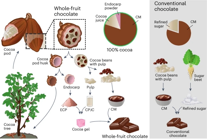 Fig. 1: Whole-fruit and conventional chocolate manufacturing processes.